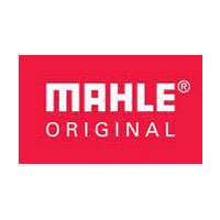 Mahle Original